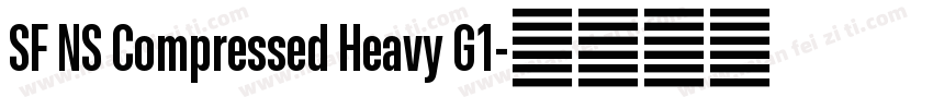 SF NS Compressed Heavy G1字体转换